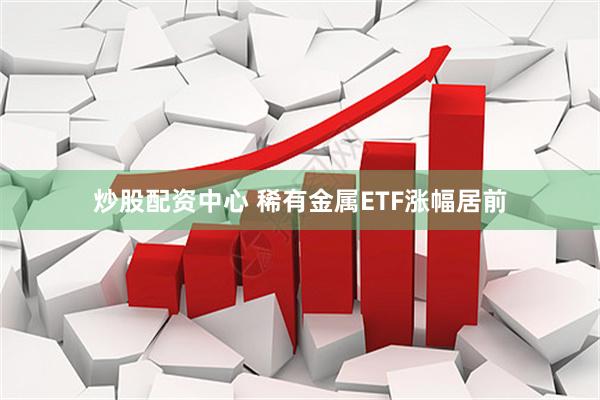 炒股配资中心 稀有金属ETF涨幅居前