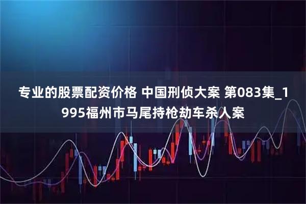 专业的股票配资价格 中国刑侦大案 第083集_1995福州市马尾持枪劫车杀人案