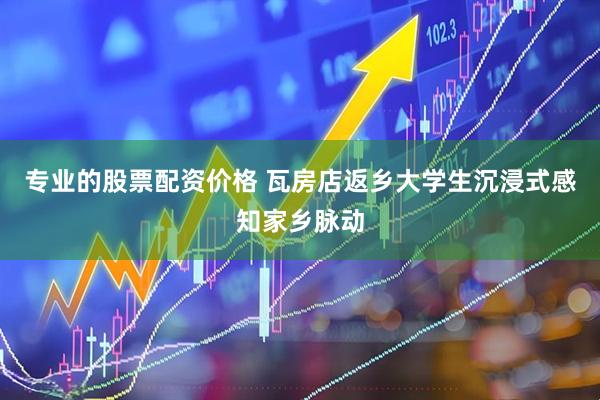 专业的股票配资价格 瓦房店返乡大学生沉浸式感知家乡脉动