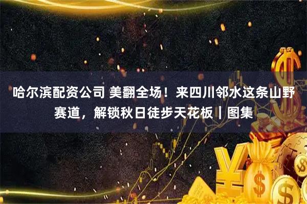 哈尔滨配资公司 美翻全场！来四川邻水这条山野赛道，解锁秋日徒步天花板｜图集